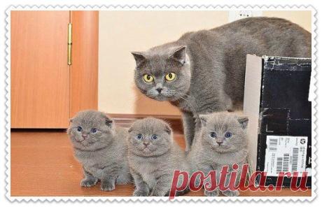 Такие классные!