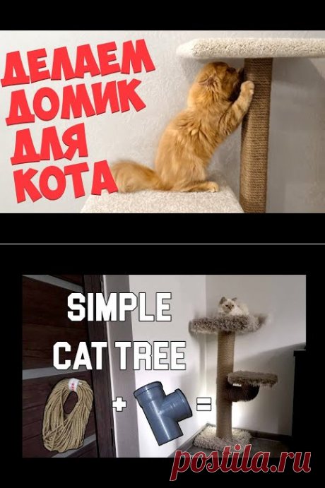 (355) Как сделать домик для кота. Когтеточка своими руками - YouTube
