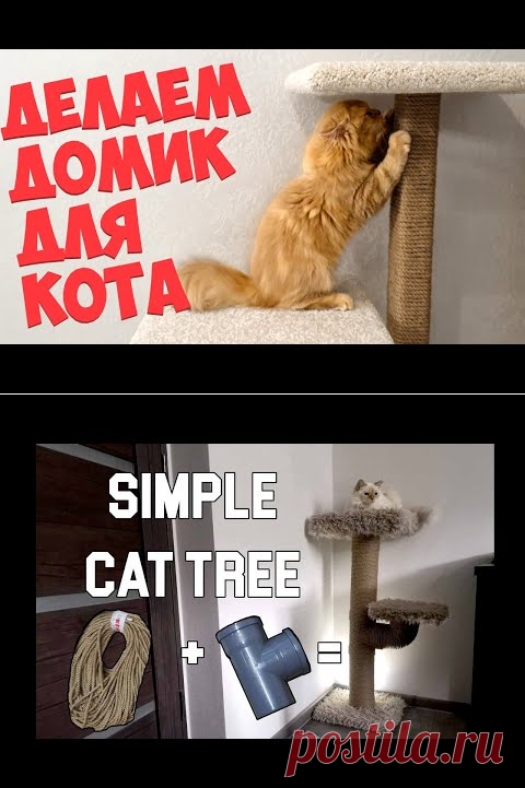 (355) Как сделать домик для кота. Когтеточка своими руками - YouTube