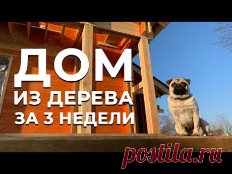 Построили деревянный дом за 3 недели.
