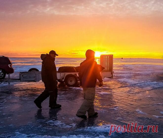 Зимний судак: традиционный дедовский способ поиска | Рыбалка для людей | Яндекс Дзен