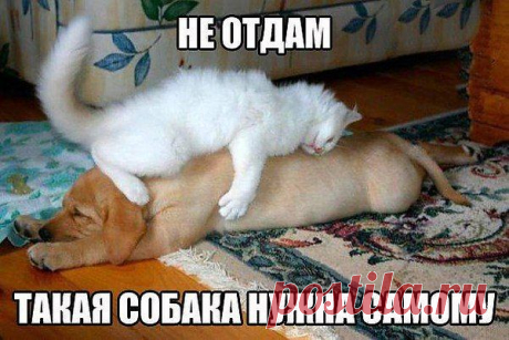 Взаимные симпатии