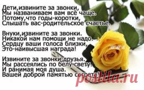 Звоните чаще, пока вам рады, пишите сообщения, пока их ждут...