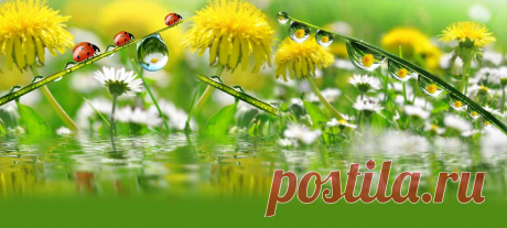 122420938_337343SoLoVuShKa.jpg (Изображение JPEG, 1600 × 721 пикселов) - Масштабированное (79%)