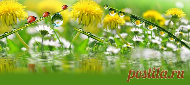 122420938_337343SoLoVuShKa.jpg (Изображение JPEG, 1600 × 721 пикселов) - Масштабированное (79%)