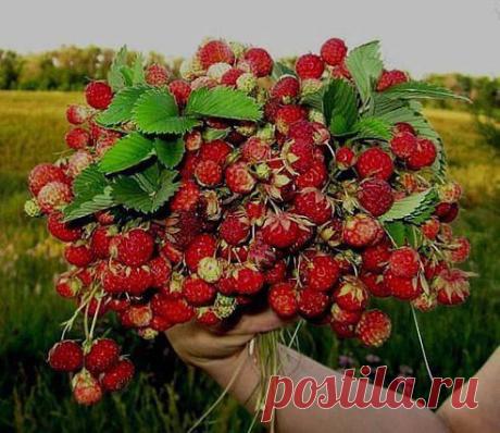 Мои закладки
