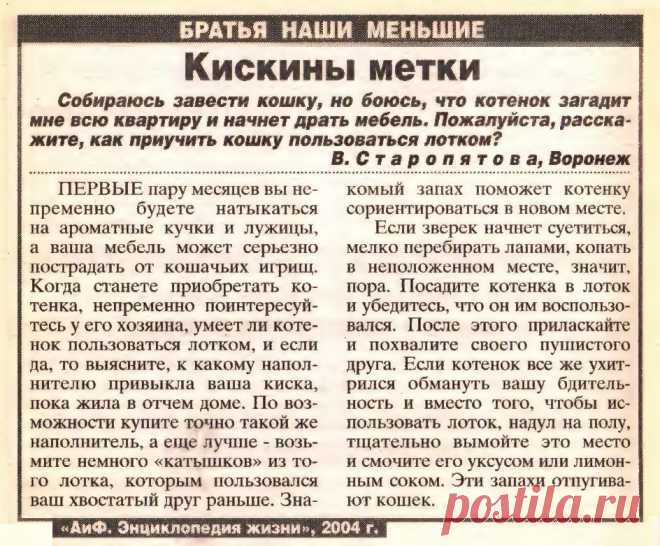 Кискины метки