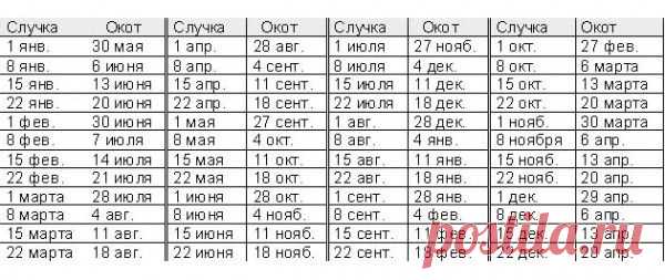 Глава IV. Разведение коз