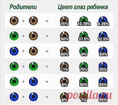 Группа: Хитрости жизни
