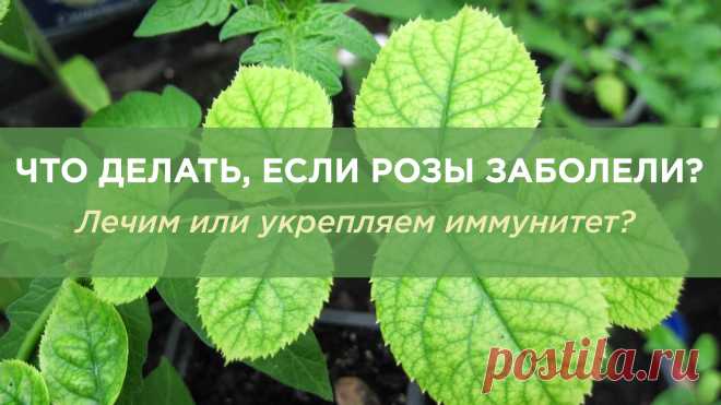 Почта Mail.ru