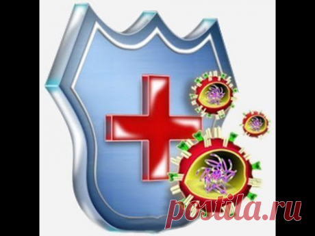 Антивирусы Платные Бесплатные Пожизненная лицензия