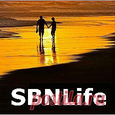 Начинаем зарабатывать в SBNLife без вложений
В трехдневной давности статье я затронул тему первых шагов новичков в новой социальной сети для бизнеса и развлечений SBNLife и сегодня хочу ее продолжить. На этот раз речь пойдет о том, как буквально с первого дня, не вкладывая ни копейки собственных средств начать в ней зарабатывать. На примере собственных действий и результатов я покажу, каким образом можно заработать первые сотни долларов и построить структуру не напрягаясь, тратя в день 10–15 ми