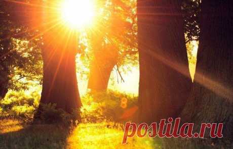 ВООБРАЖАЙ И ДЕЛАЙ!