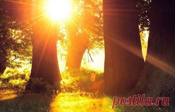 ВООБРАЖАЙ И ДЕЛАЙ!