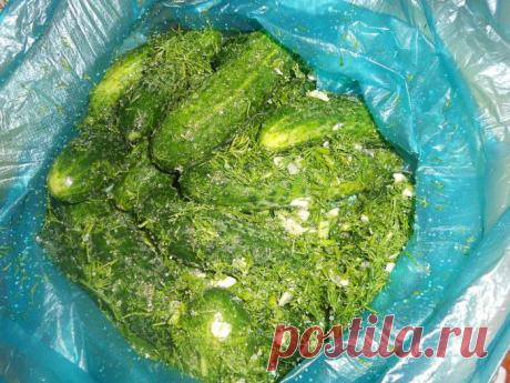 ОГУРЧИКИ СУХОЙ ПОСОЛ.