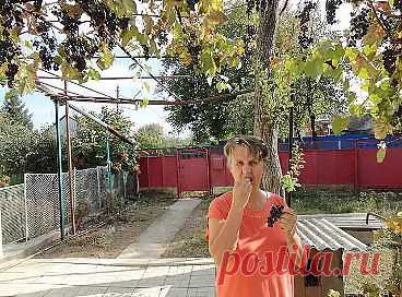 (2) Одноклассники