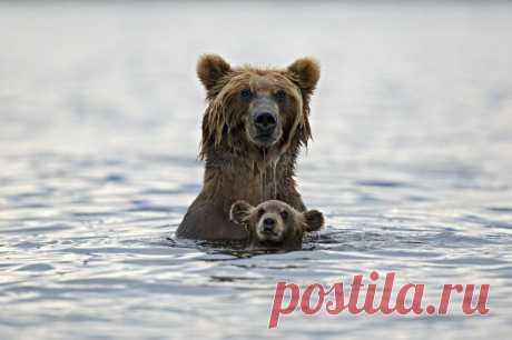 30 лучших снимков National Geographic за год