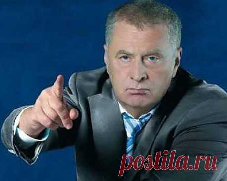 Прекратить пропаганду преступности и терроризма!... - Владимир Жириновский