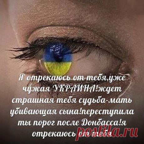АНТИМАЙДАН И НАС 778 000 - СЛАВА БОГУ ЗА ВСЕ!
Светлана Колесникова