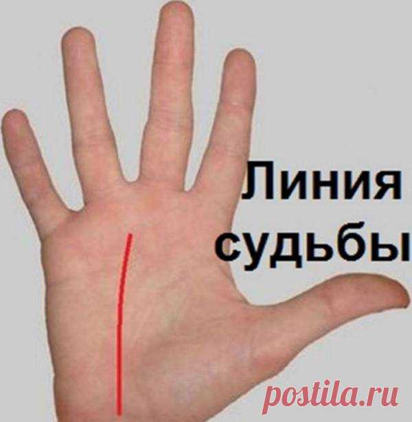 Этот пост позволит вам погадать по руке самостоятельно!