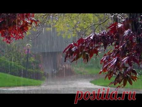 Дождь, гром, гроза Расслабляющие звуки природы Усыпляющие звуки летнего дождя