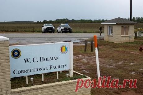 Назван последний ужин казненного чистым азотом американца. Кеннет Юджин Смит, первый казненный в США при помощи чистого азота, по традиции воспользовался правом на выбор последнего перед экзекуцией ужина. В качестве последней трапезы заключенный заказал стейк, картофельные оладьи и яйца. Также у него в наличии были кофе, сладкая газировка и вода.