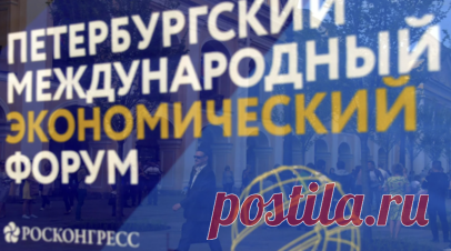 ФАС: не все иностранные партнёры могут приехать на ПМЭФ из-за цен на отели. Представители некоторых зарубежных участников ПМЭФ жаловались, что не могут принять участие в форуме из-за высоких цен на проживание в городе. Читать далее