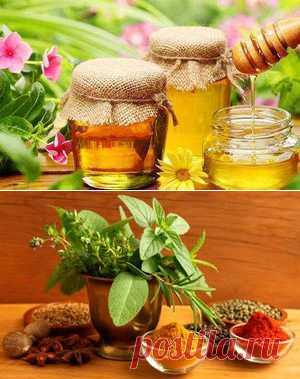 Народные средства для повышения иммунитета