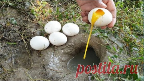 Unbelievable Fishing With Eggs | Naturally Food Fishing.