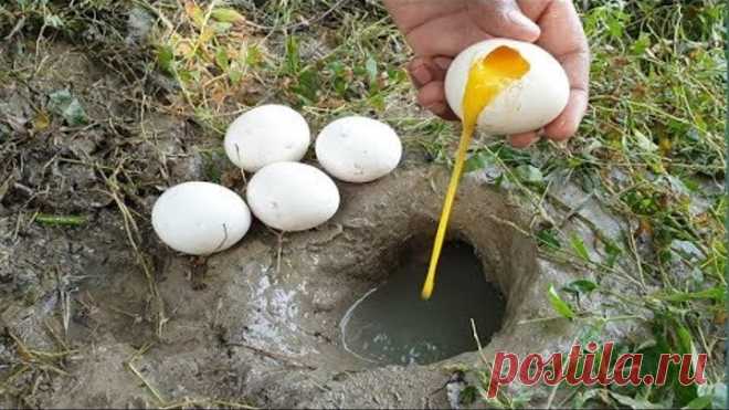 Unbelievable Fishing With Eggs | Naturally Food Fishing.