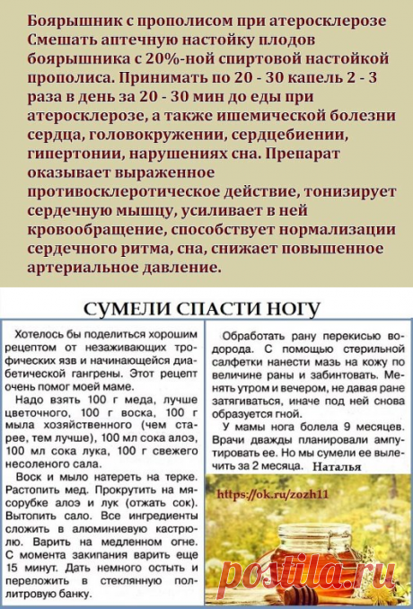 Одноклассники