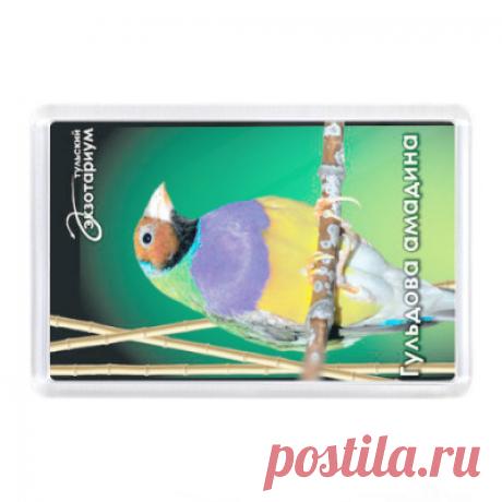 Магнит Магнит 7,5x5,15 см - Тульский экзотариум, зоопарк