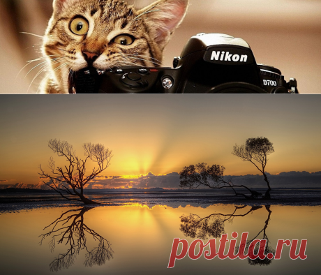 Как фотографировать? Памятка начинающему фотографу