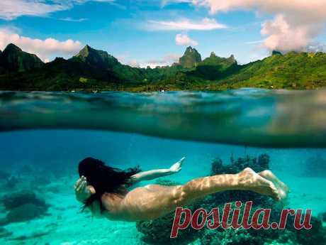 10 уникальных полуподводных фотографий