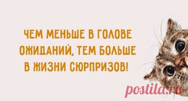 Чем меньше в голове ожиданий