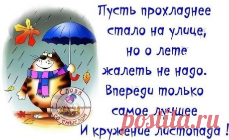Стихи