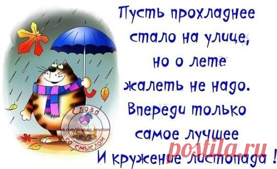 Стихи