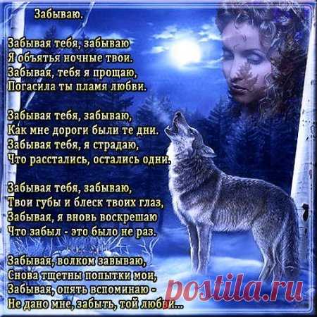 (4) Мой Мир@Mail.Ru