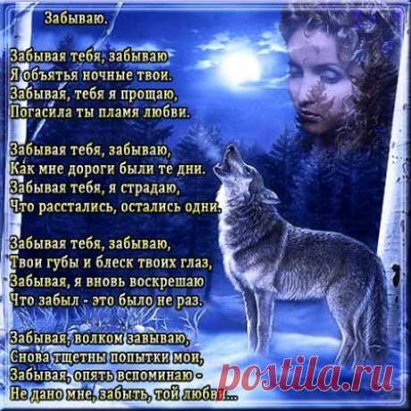 (4) Мой Мир@Mail.Ru