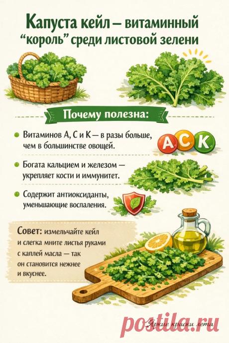 Капуста кейл - витаминный "король" среди листовой зелени