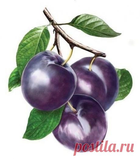 MZx1f177L7A.jpg (422×480)