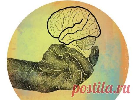 Супер упражнения для развития мозга и улучшения памяти - Советы и Рецепты Хочу представить вам достаточно простые упражнения, которые служат для развития вашего мозга и повышения его функциональных возможностей Упражнения выполняются пальцами обеих рук и поэтому называются «пальцовки». Упражнения «Пальцовки»: улучшают память, развивают согласованную работу полушарий мозга, повышают скорость мышления, скорость принятия решений, скорость реакции, выстраивают новые нейронные ...