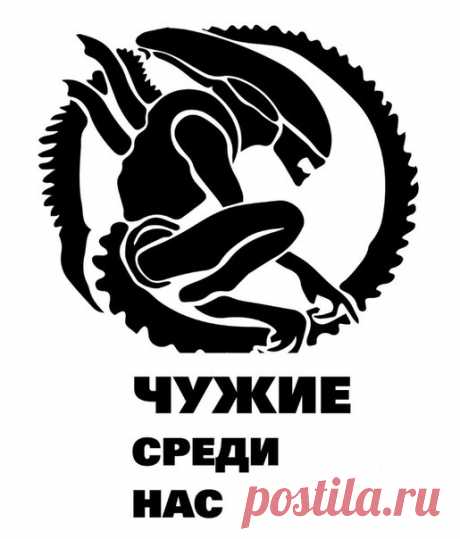 Новые фотографии