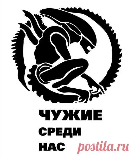 Новые фотографии