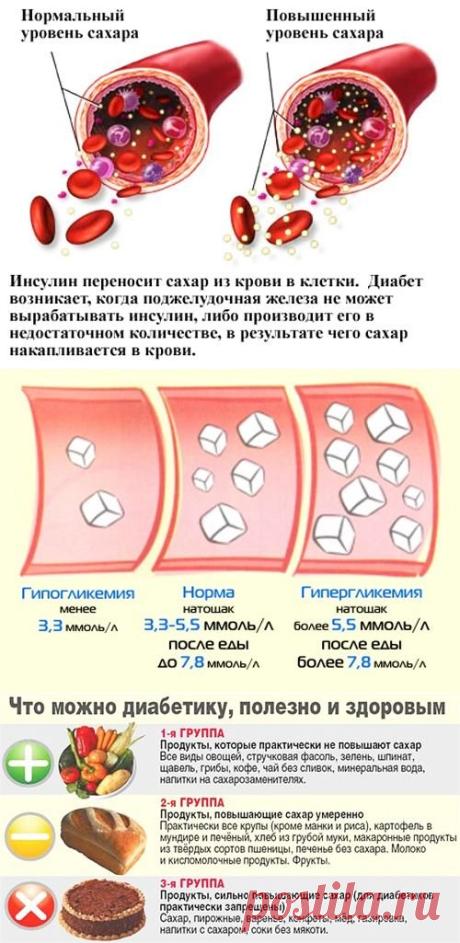podzheludochnaya-zheleza-saharniy-diabet-referat-2.jpg (500×1025)