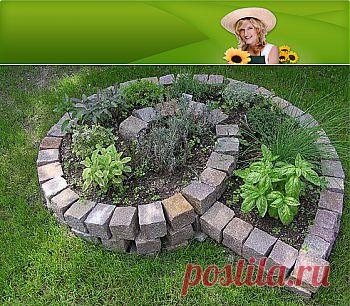 Как сделать клумбу для трав шаг за шагом :: Цветущая дача