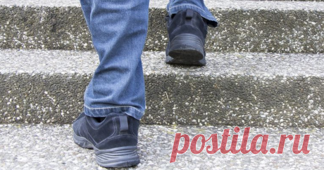 Найден простой способ побудить людей больше двигаться Простое письменное напоминание о пользе подъема пешком заставило посетителей аэропорта предпочесть лестницу эскалатору.