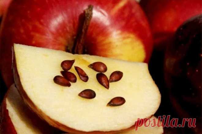 Продукты, обладающие противоопухолевым действием: запомни этот список! - Все самое интересное!