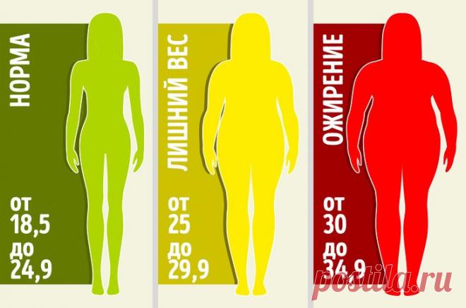 Как узнать места скопления избыточного жира и избавиться от него - Журнал Советов Неважно, стройный вы человек или полный: в любом случае стоит обратить внимание, в какой части тела скапливается избыточный жир. Хотя бы потому, что это может быть сигналом о том, что с вашим здоровьем что-то не в порядке. Мы поможем разобраться с лишним весом и поддержит вас на пути здорового образа жизни. Основные места скопления лишнего […]