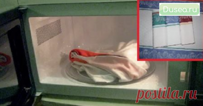 Как отстирать кухонные полотенца с помощью микроволновки. Стали словно вчера купленные! Пятна исчезли за 1,5 минуты! | Dusea.ru | Первый женский